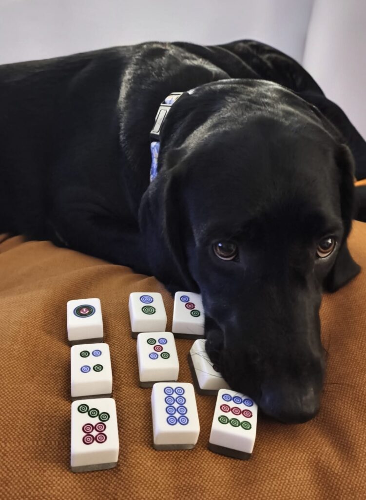1 9 dot